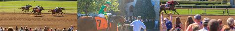 Is horse racing profitable or it's just another quicker way to.